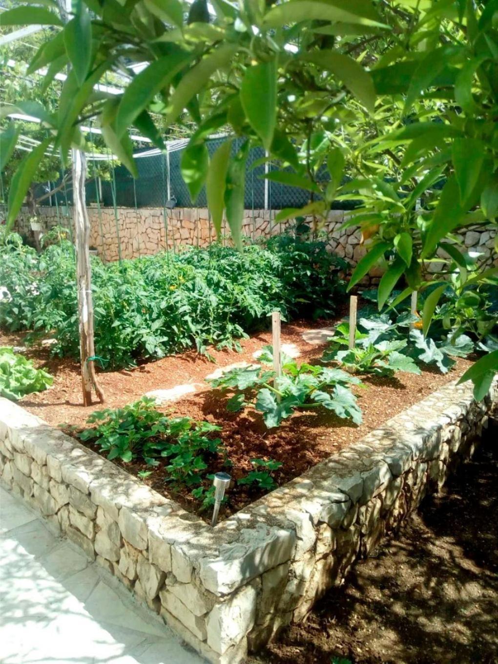 זיווגוסצה Apartments Anki מראה חיצוני תמונה