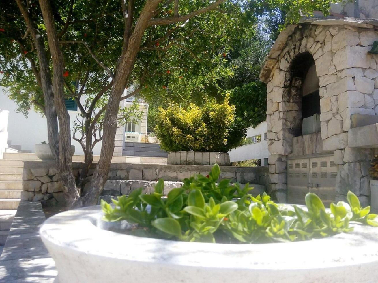 זיווגוסצה Apartments Anki מראה חיצוני תמונה